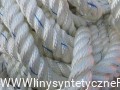 Lina PA od www.linysyntetyczne.pl